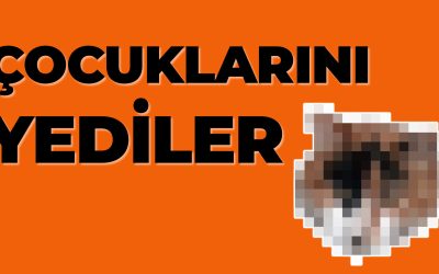 %51 Libido %49 Gündem %0 İnsanlık | İkbal, Narin, Ayşenur, Şeyda…